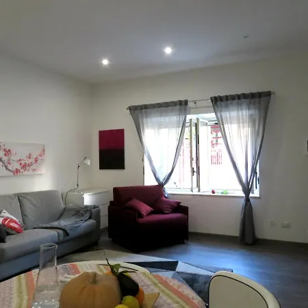 Bora 贾迪尼-纳克索斯